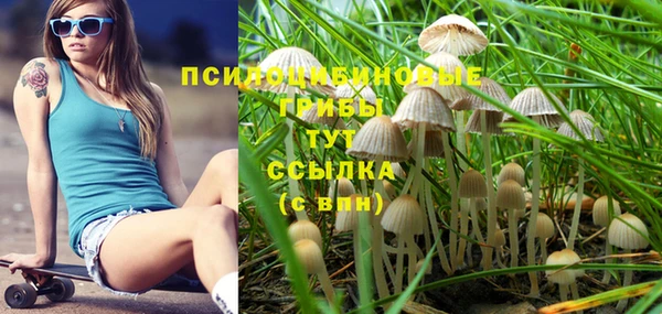 mix Белокуриха