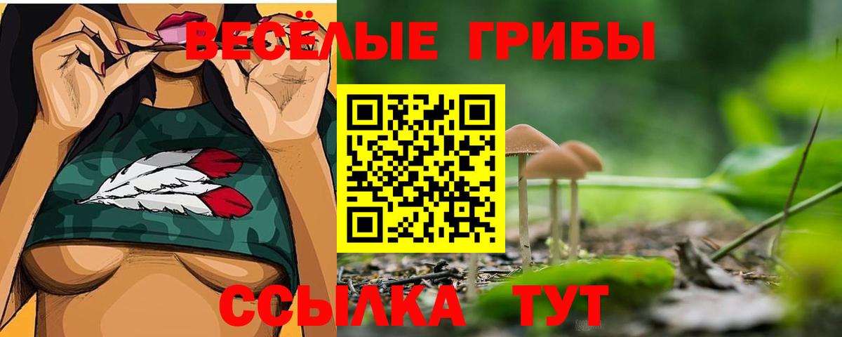 Галлюциногенные грибы мицелий  Вход с VPN  Богородицк 