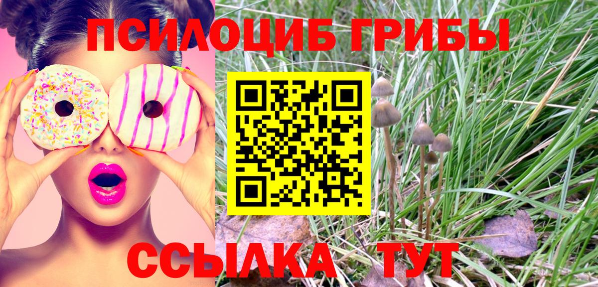 Галлюциногенные грибы MAGIC MUSHROOMS Богородицк